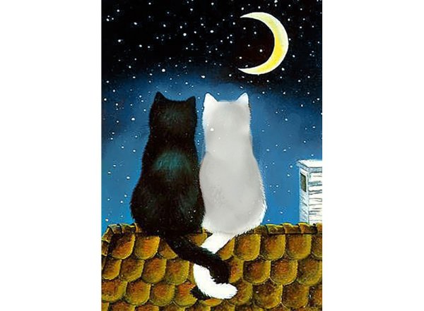 Картина коты на крыше ночью