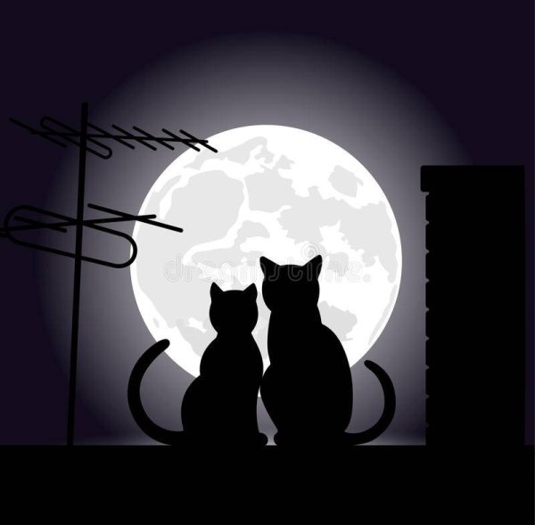 Коты силуэт