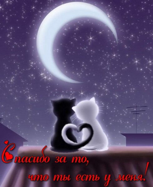 Спокойной ночи романтичные