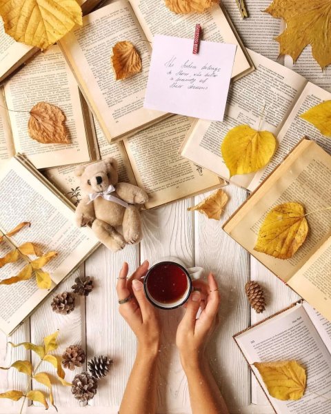 Осень Вдохновение