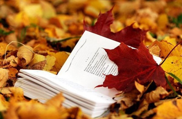 Книги про осень