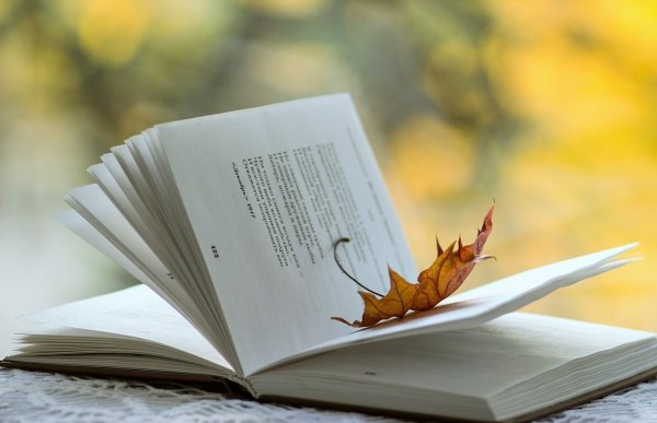 Осень чтение книг