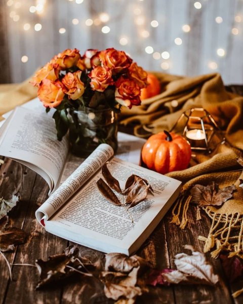 Книги про осень
