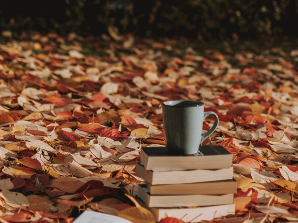 Книжная осень