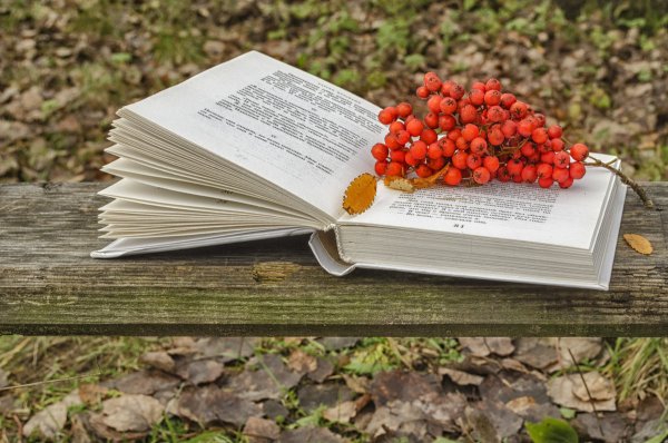 Книги осенью