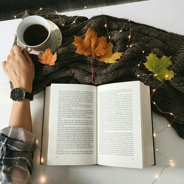 Книги осенью