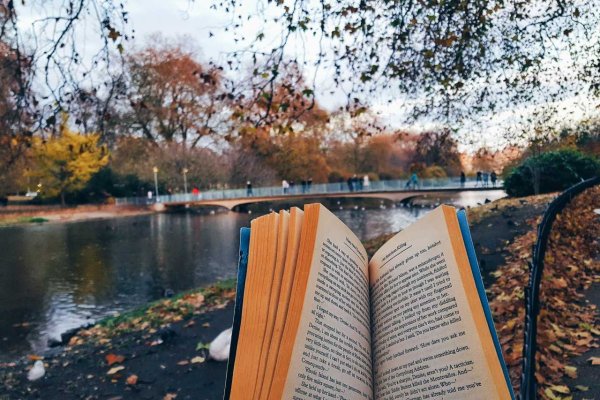 Осень книги Эстетика