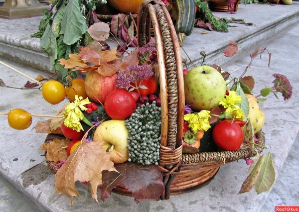 Осенние дары природы