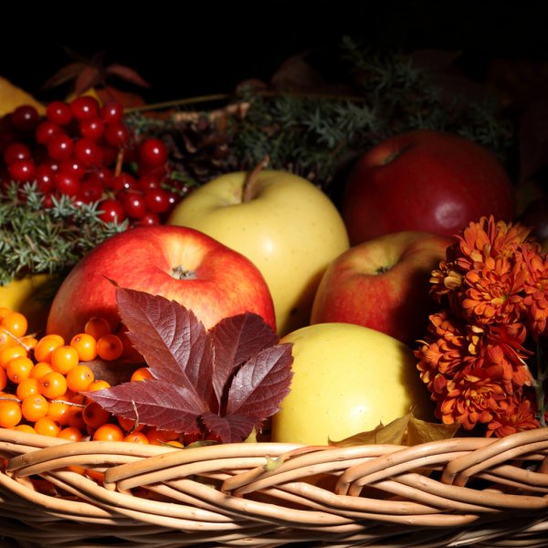 Осенние цветы и урожай фруктов