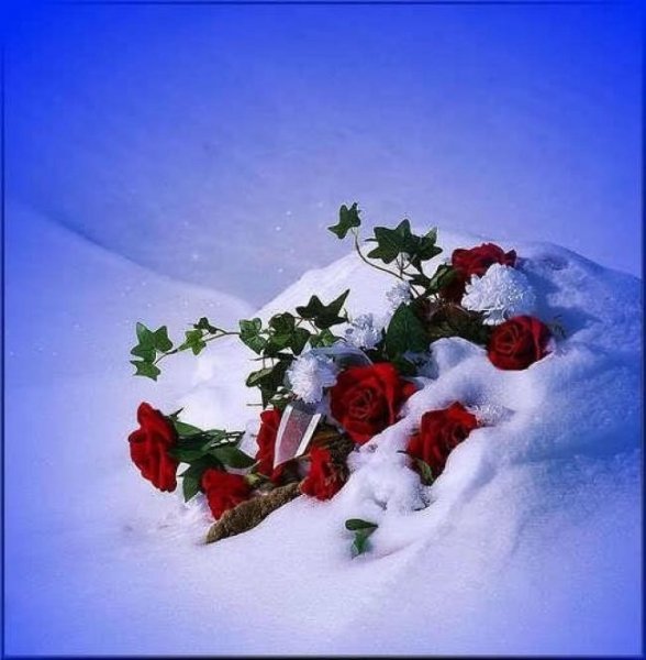 Красивый букет на снегу