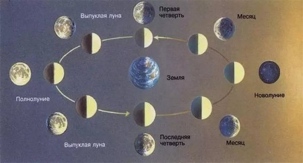 Фазы Луны