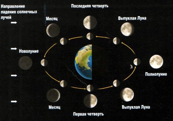 Схема смены фаз Луны