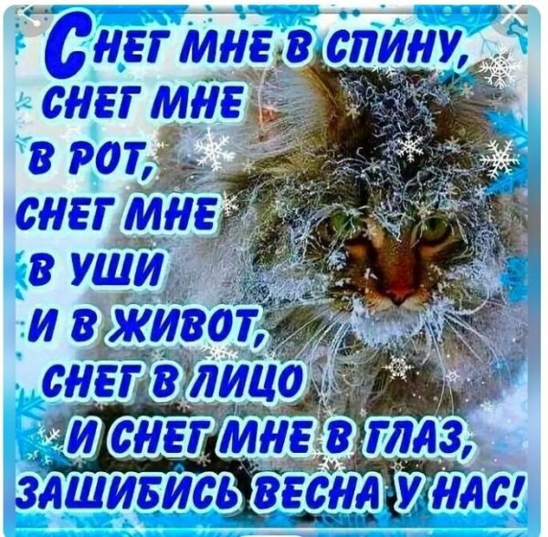 Приколы про зиму и весну