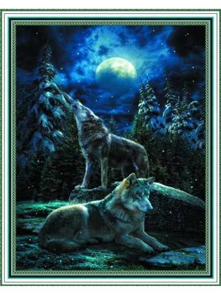 Волк в ночи