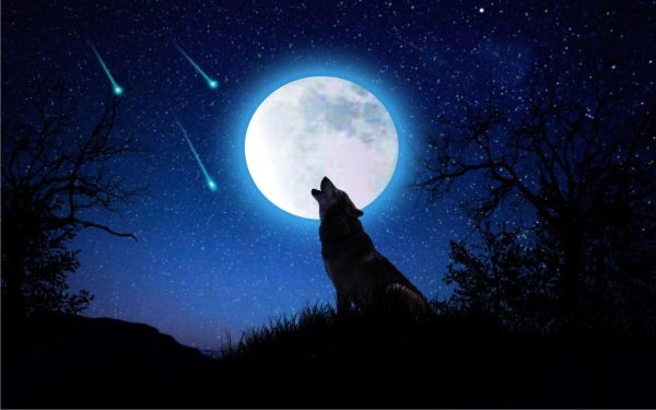 Лунные волки