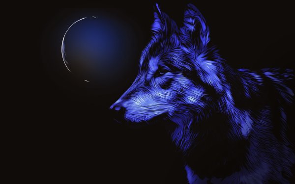 Ночные волки