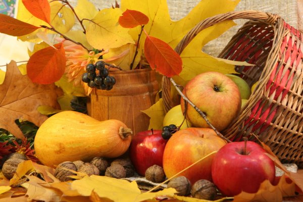 Дары золотой осени