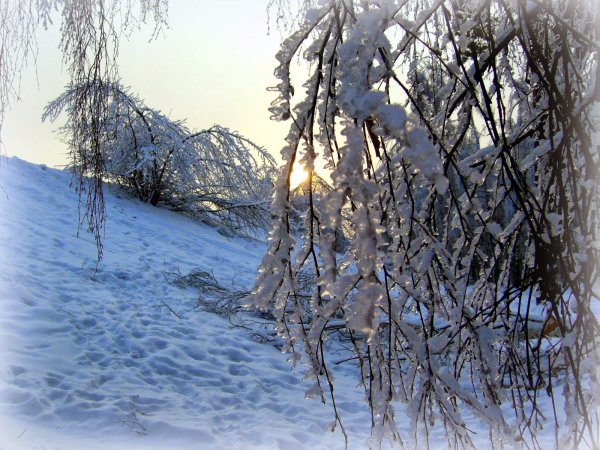 Первый снег Брюсова