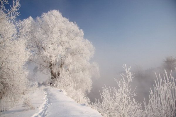 Снежное безмолвие