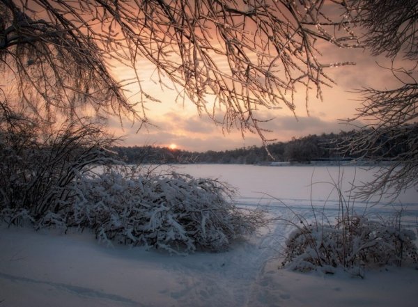 Свежей и светлой прохладой