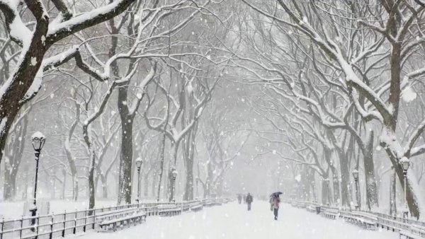 Картины художников зимний парк на рабочий стол