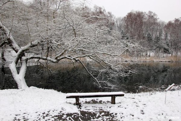 Валерий Брюсов февраль