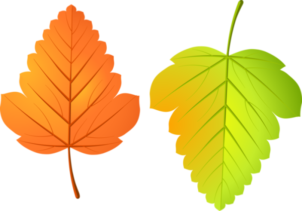 Листья для украшения группы