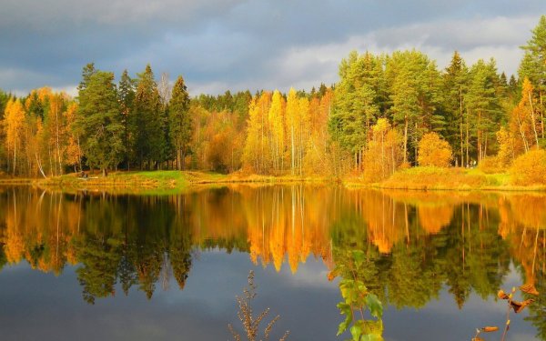 Осенний лес отражение