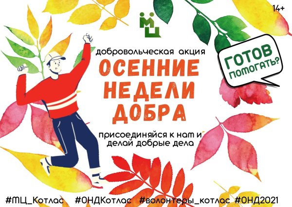 Акция осень