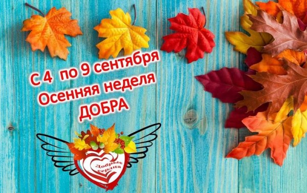 Неделя добра в школе осень 2023