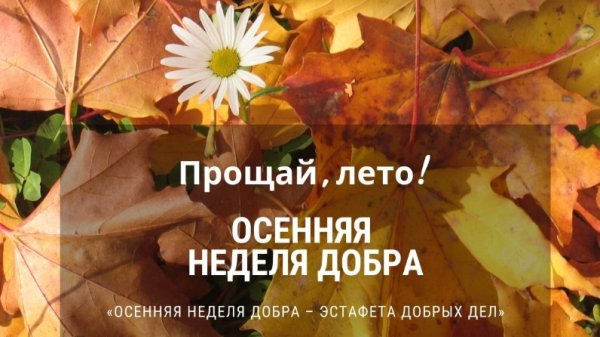 Осенняя неделя добрых дел