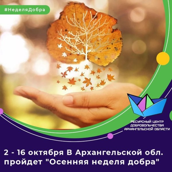 Осенняя неделя добра 2021 год