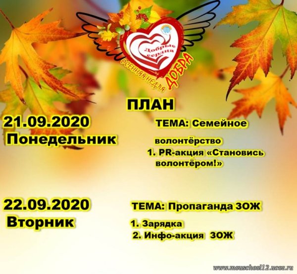 Акция осенняя неделя добра в школе