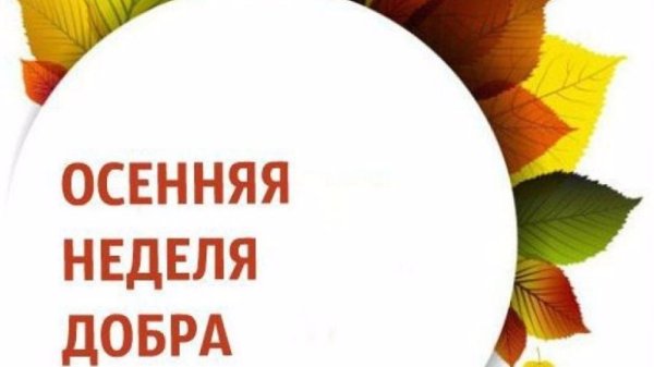 Осенняя неделя добра 2020 год