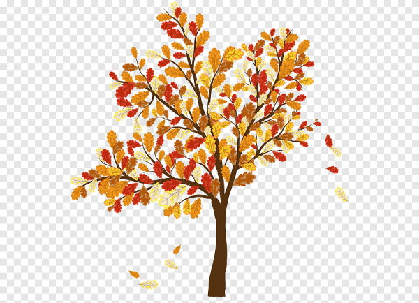 Деревья осенью