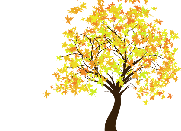 Осеннее дерево на прозрачном фоне
