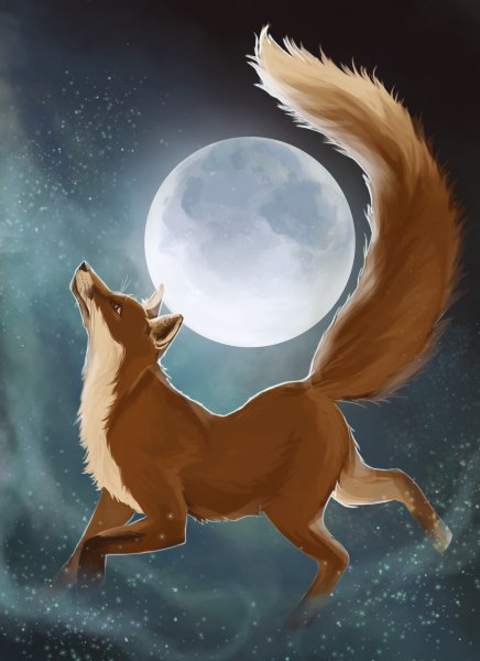 Лунный Лис
