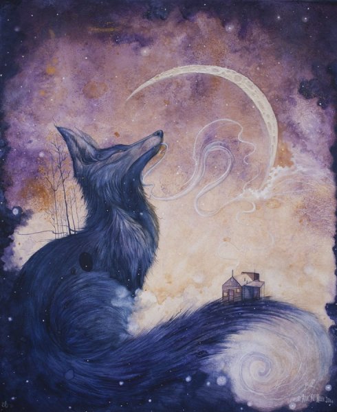 Звёздный Лис