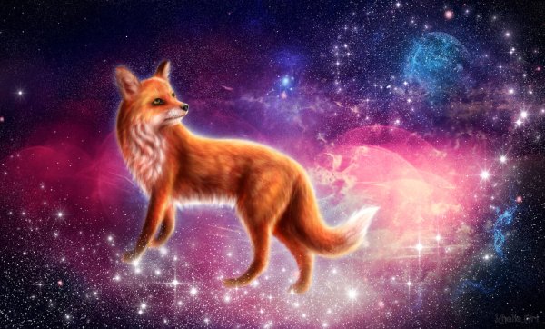 Космическая лиса