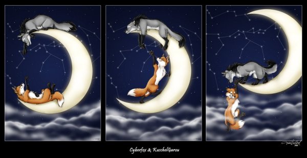 Лисенок на Луне