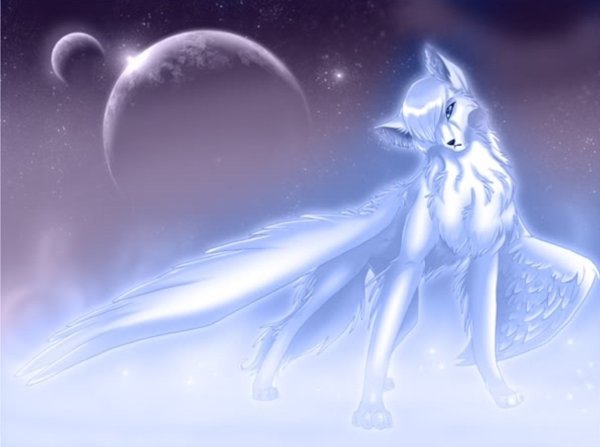 Волк ангел