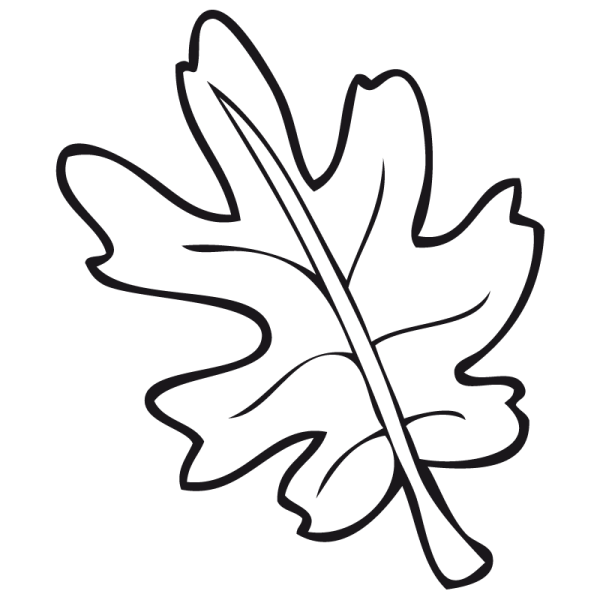 Дубовый лист раскраска