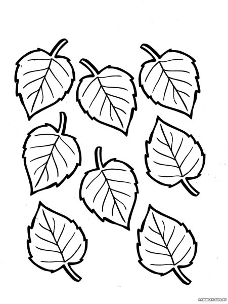 Раскраска листья деревьев. Распечатать картинки деревьев с листьями и без листочков.