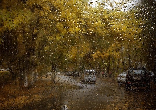 Осень дождь