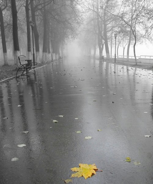 Дождливый день