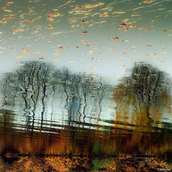 Осеннее ненастье