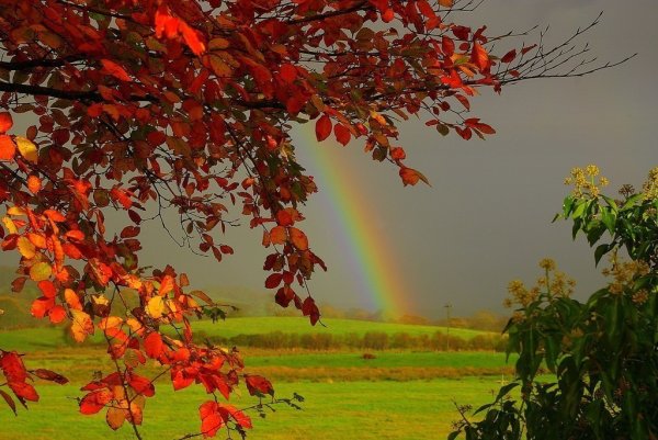 Осень Солнечная и дождливая