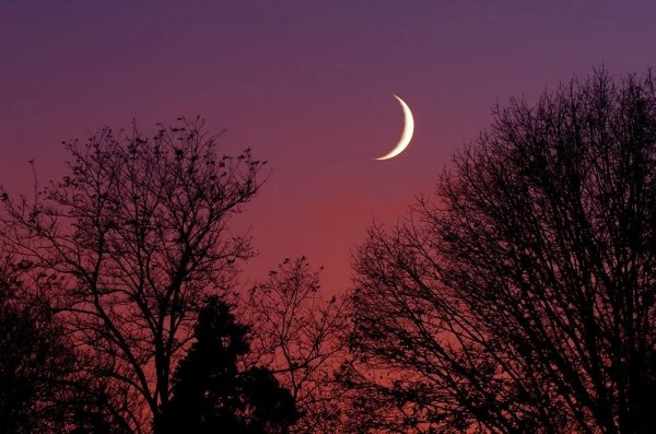 Новолуние 2022