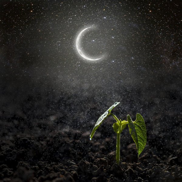 Красивое новолуние