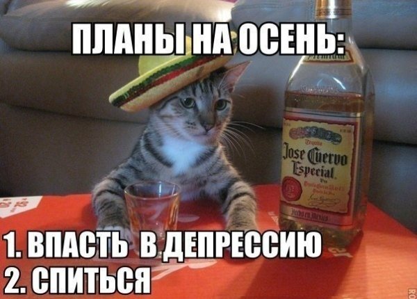 Осенняя депрессия Мем